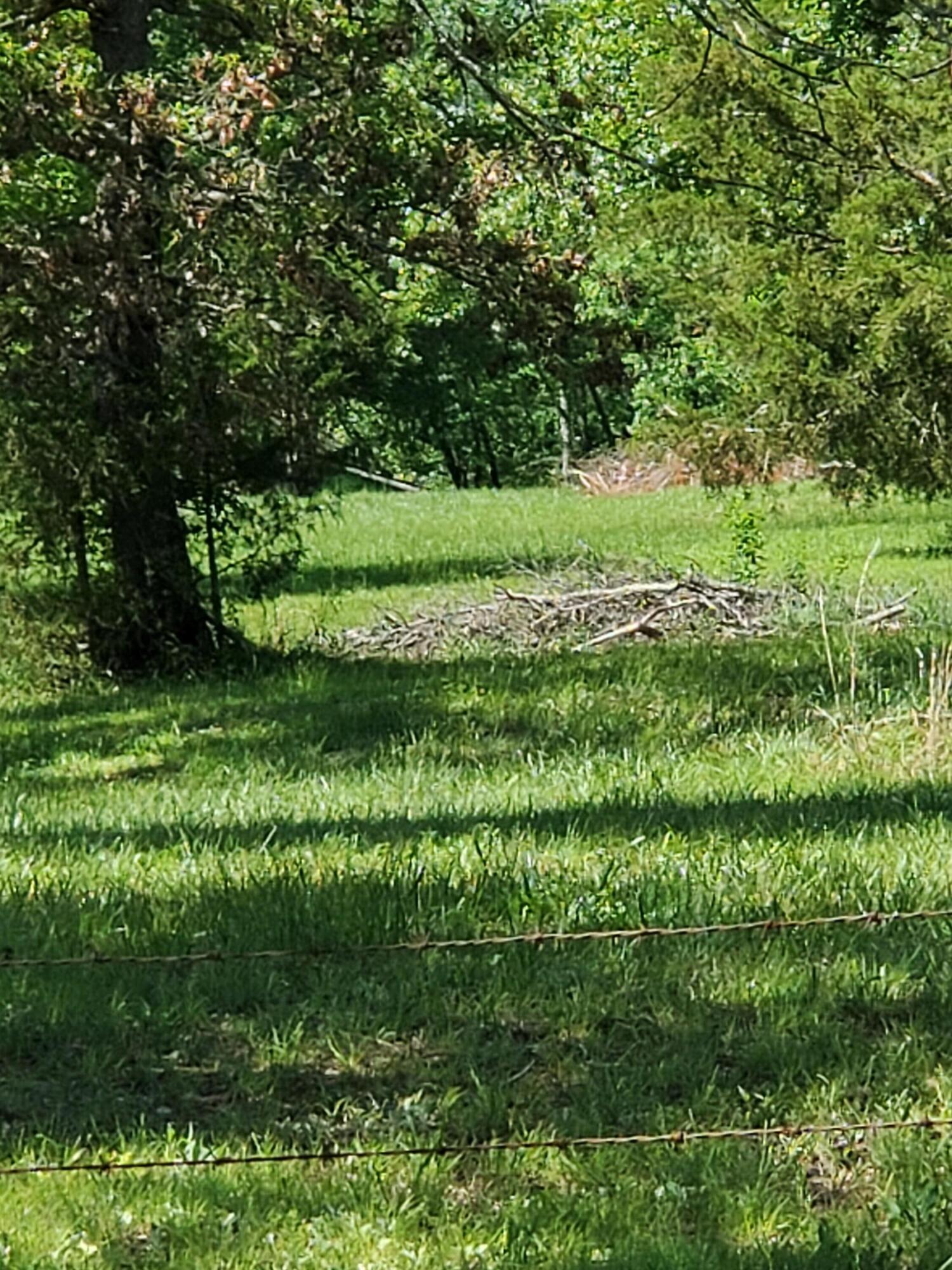 000 South State Highway 125 Property Photo 13