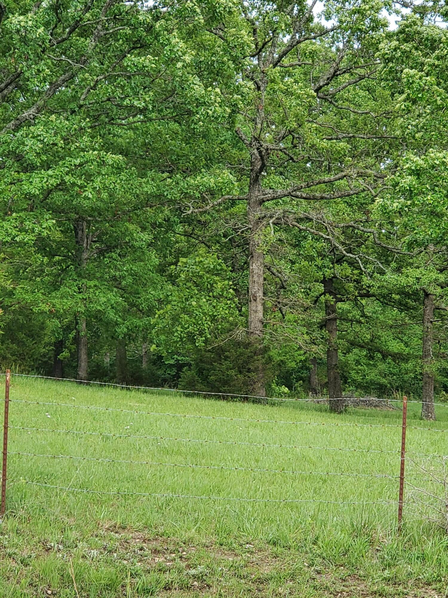 000 South State Highway 125 Property Photo 17