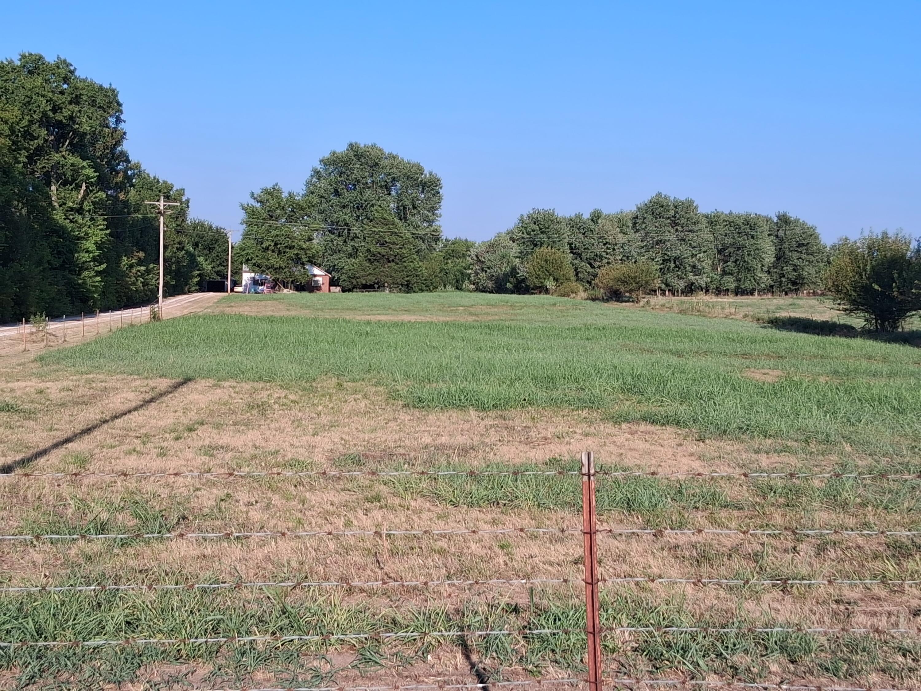 12229 Hammer Road Property Photo 4