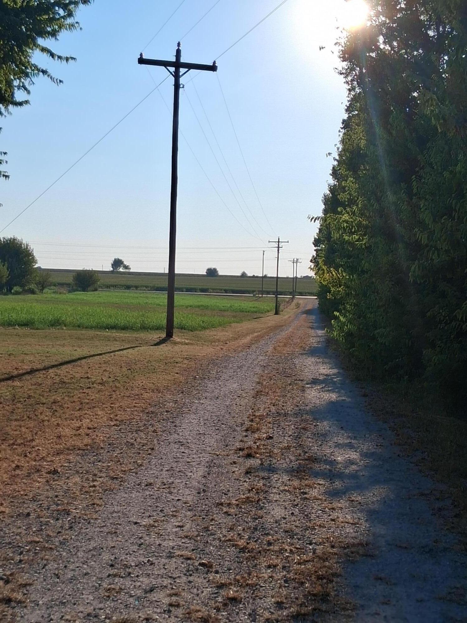 12229 Hammer Road Property Photo 5