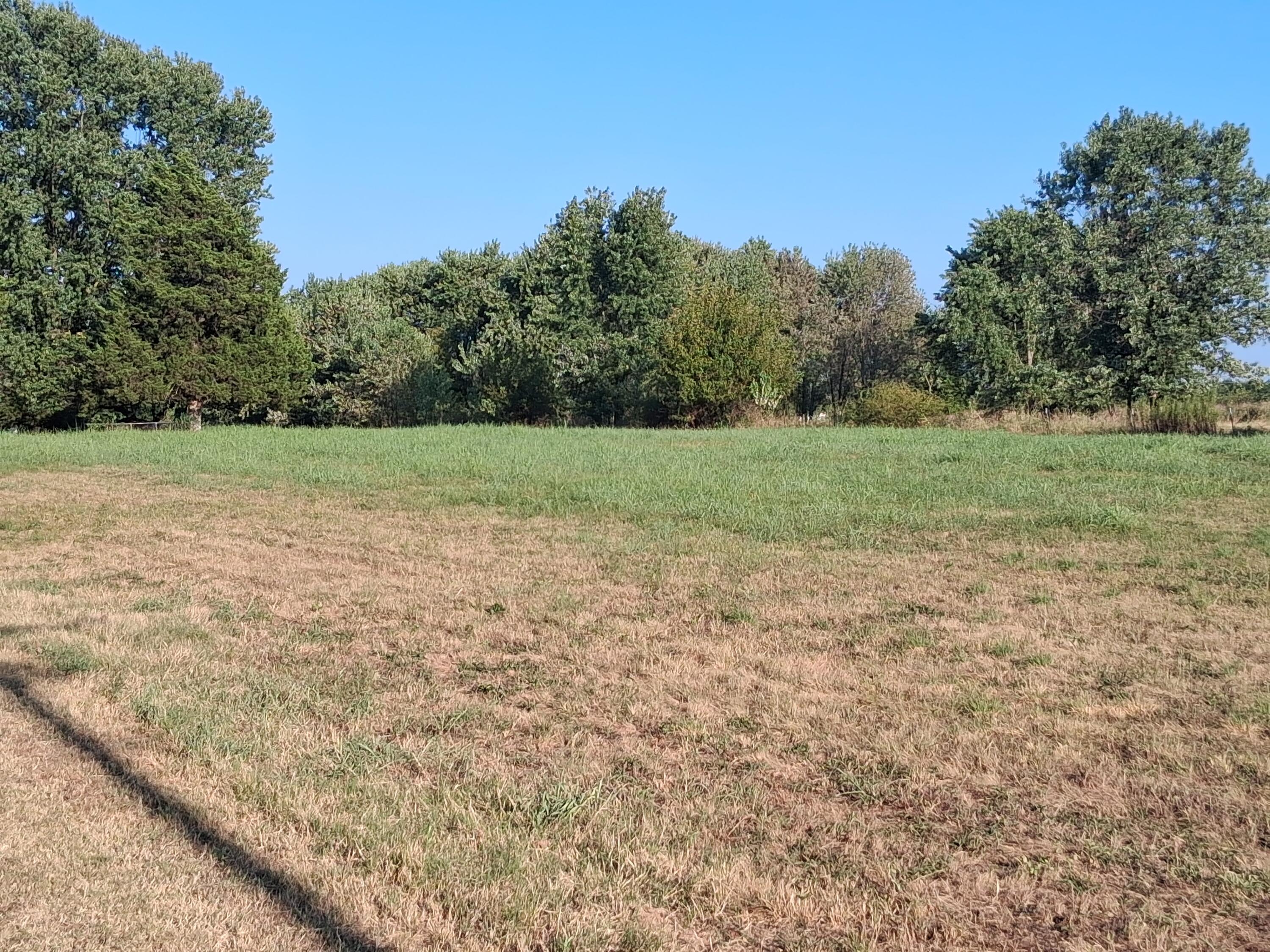 12229 Hammer Road Property Photo 7