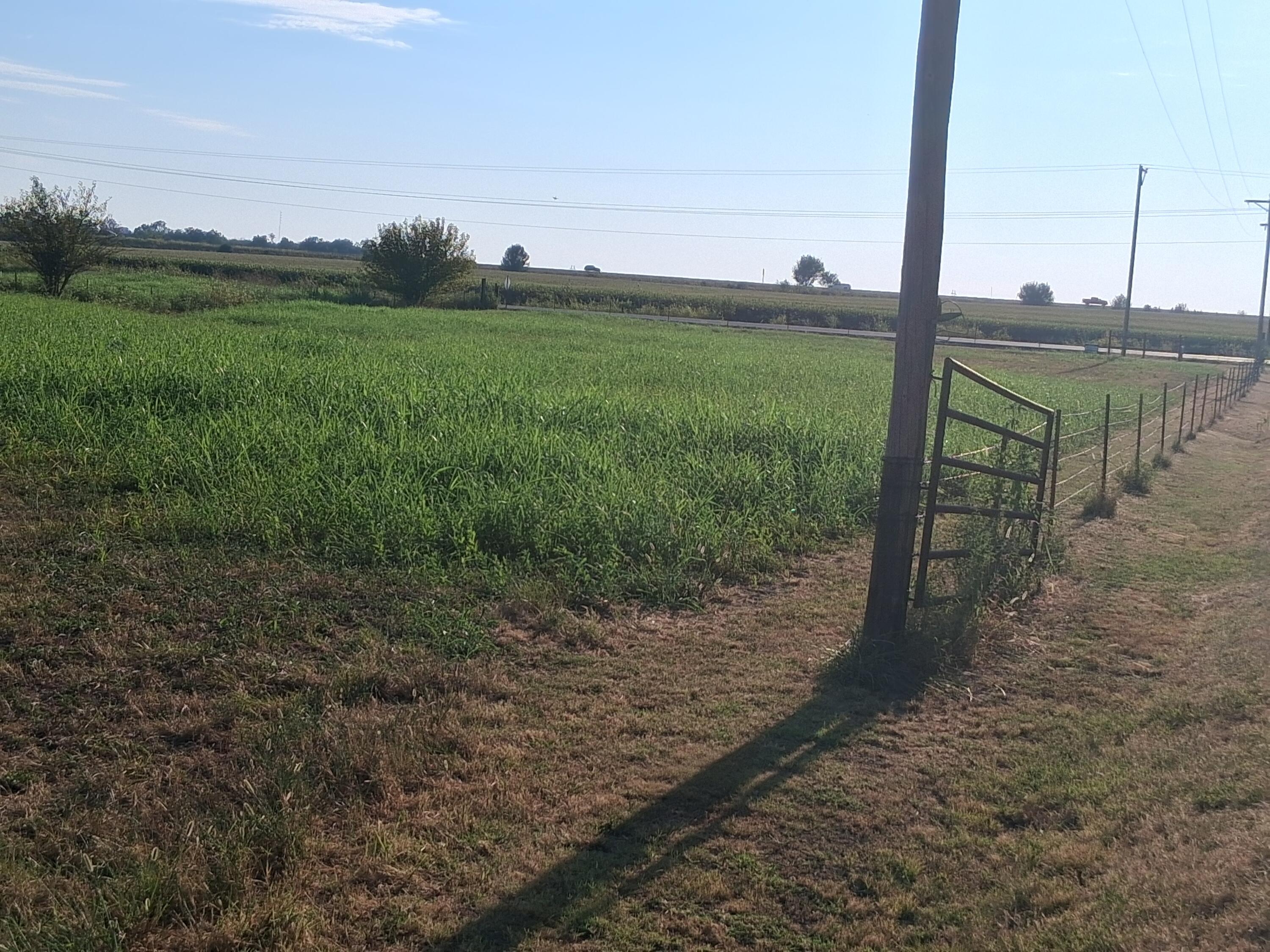 12229 Hammer Road Property Photo 8