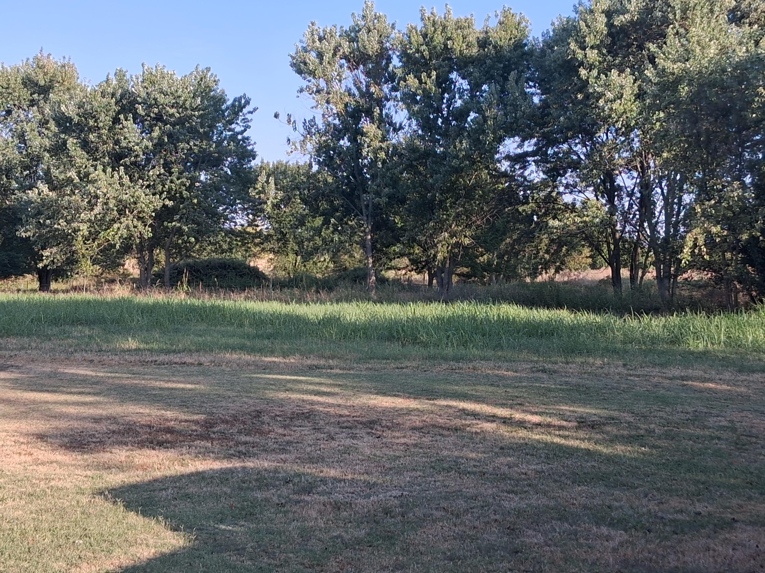 12229 Hammer Road Property Photo 9