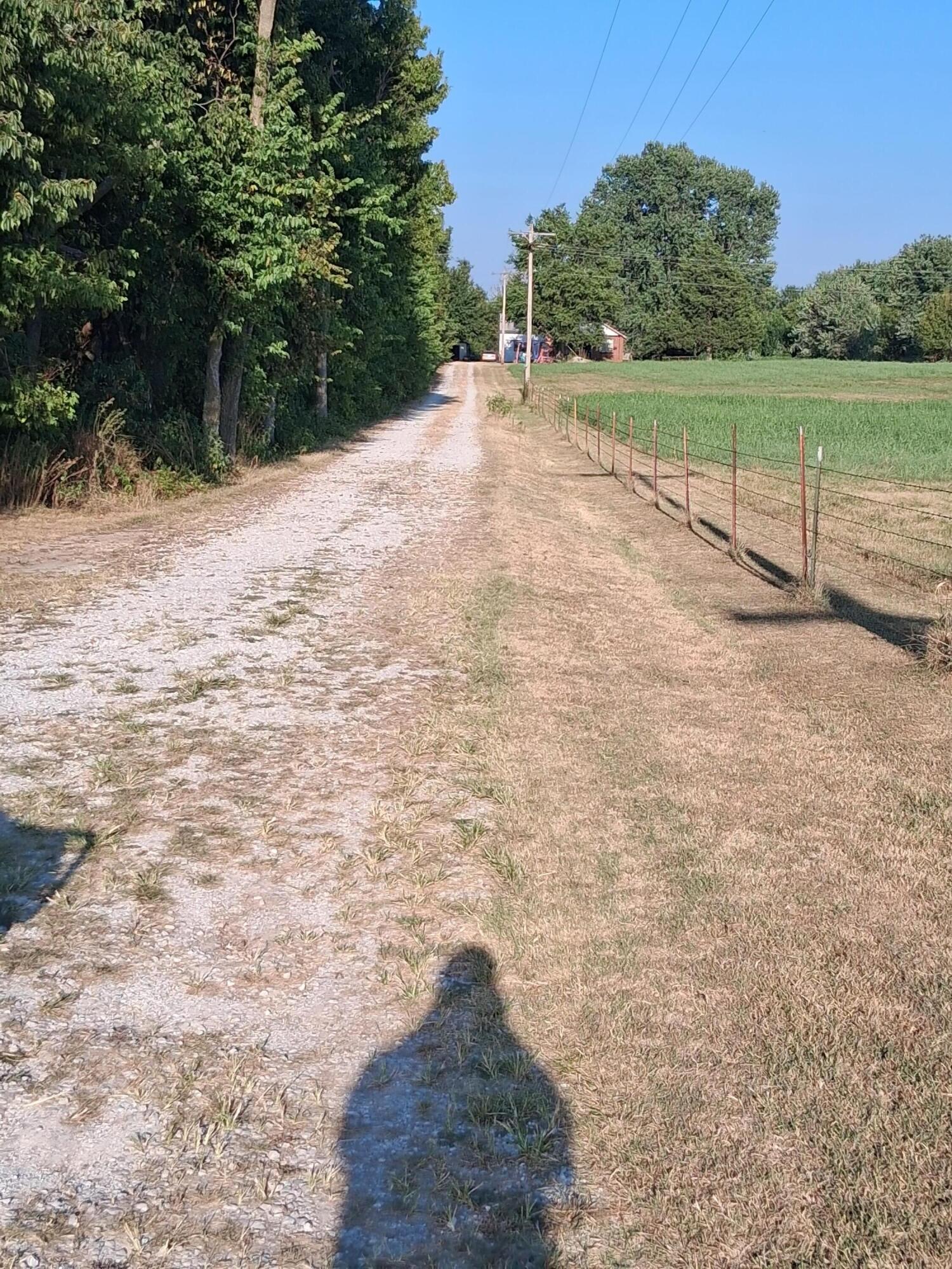 12229 Hammer Road Property Photo 10