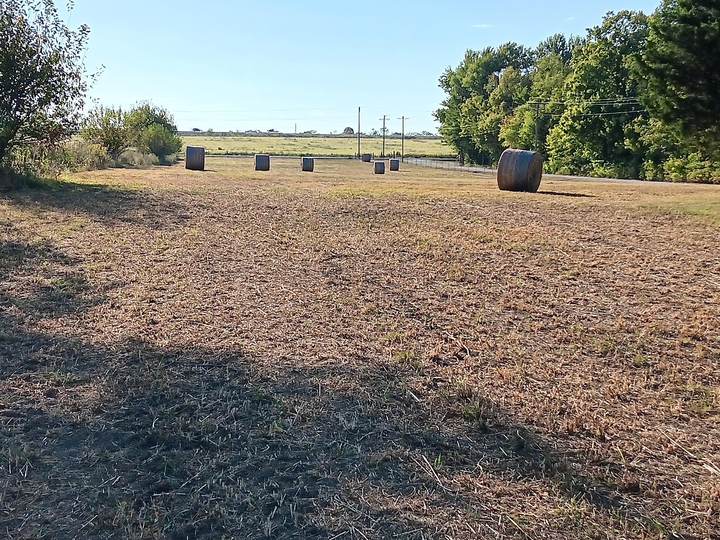 12229 Hammer Road Property Photo 14
