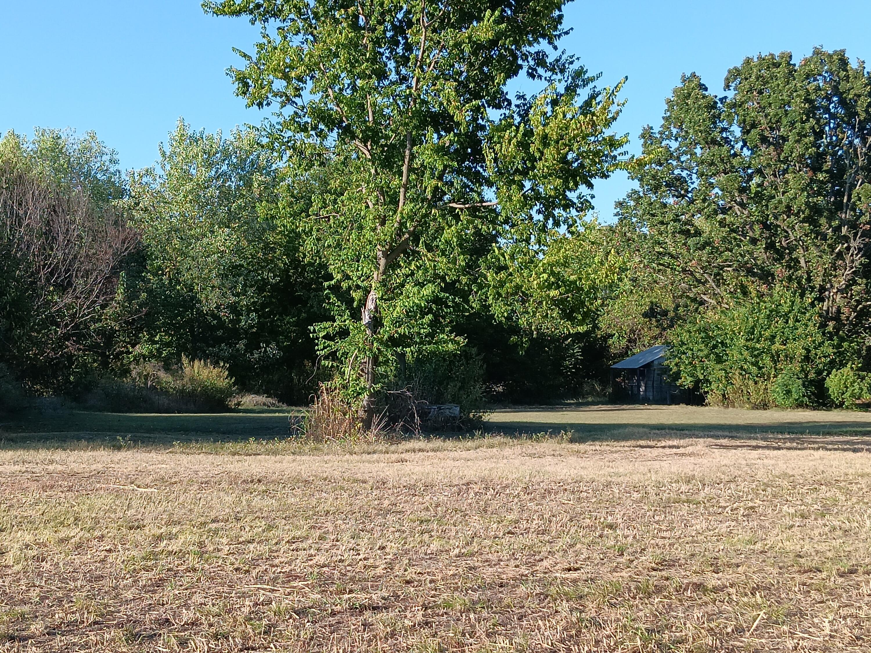 12229 Hammer Road Property Photo 19