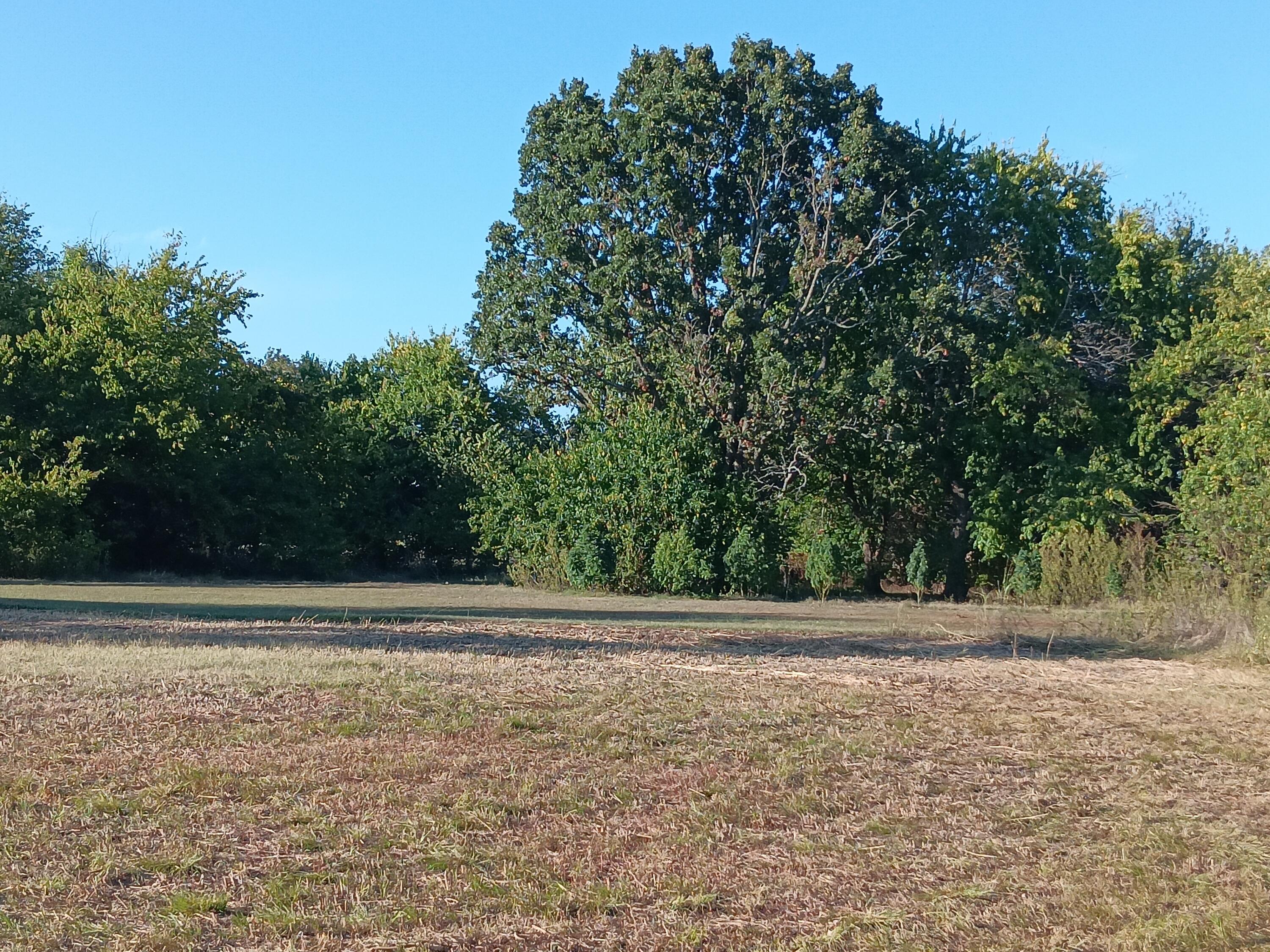 12229 Hammer Road Property Photo 20