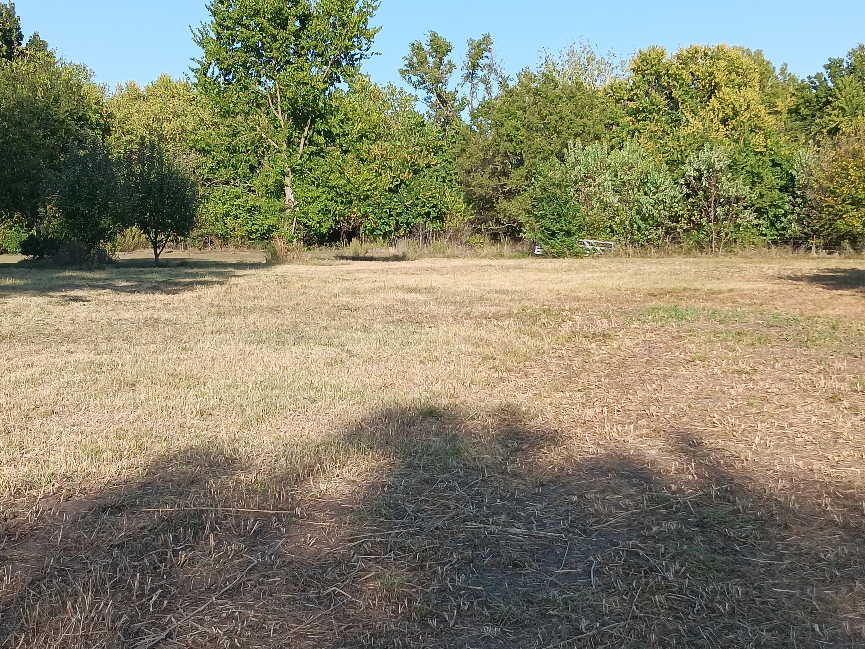12229 Hammer Road Property Photo 21