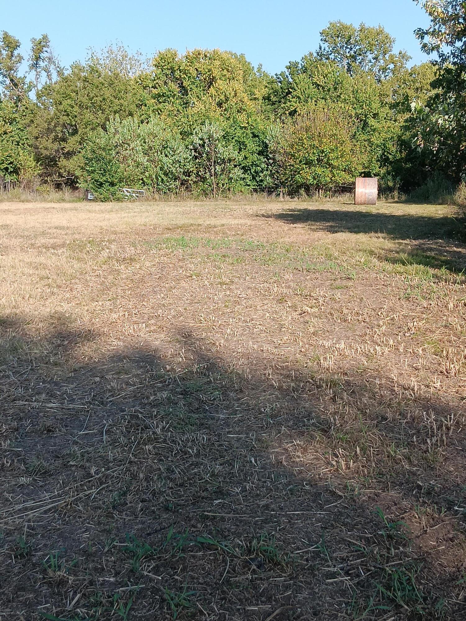12229 Hammer Road Property Photo 22