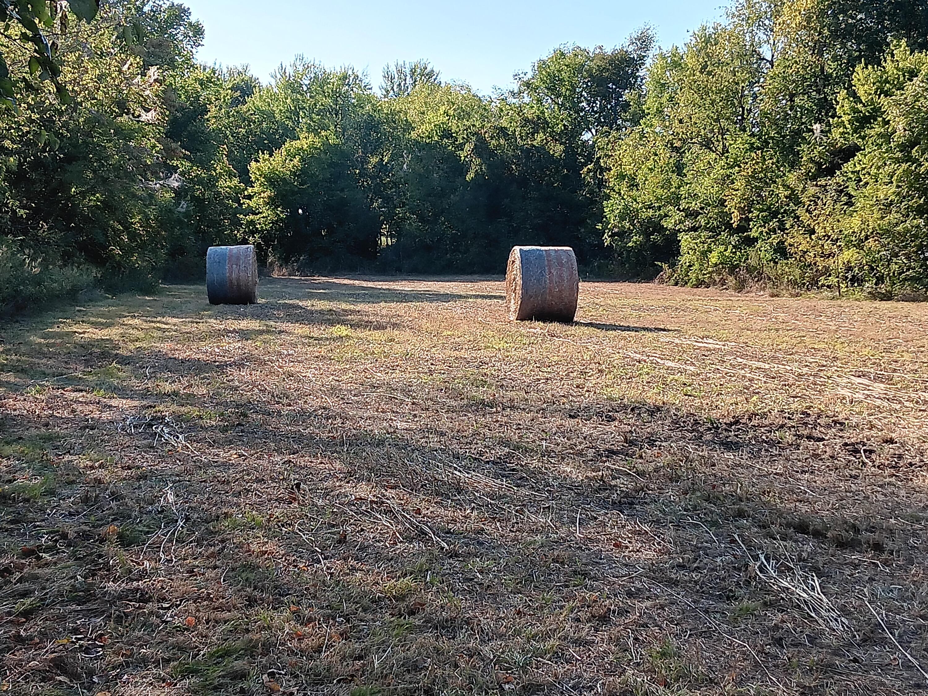 12229 Hammer Road Property Photo 23