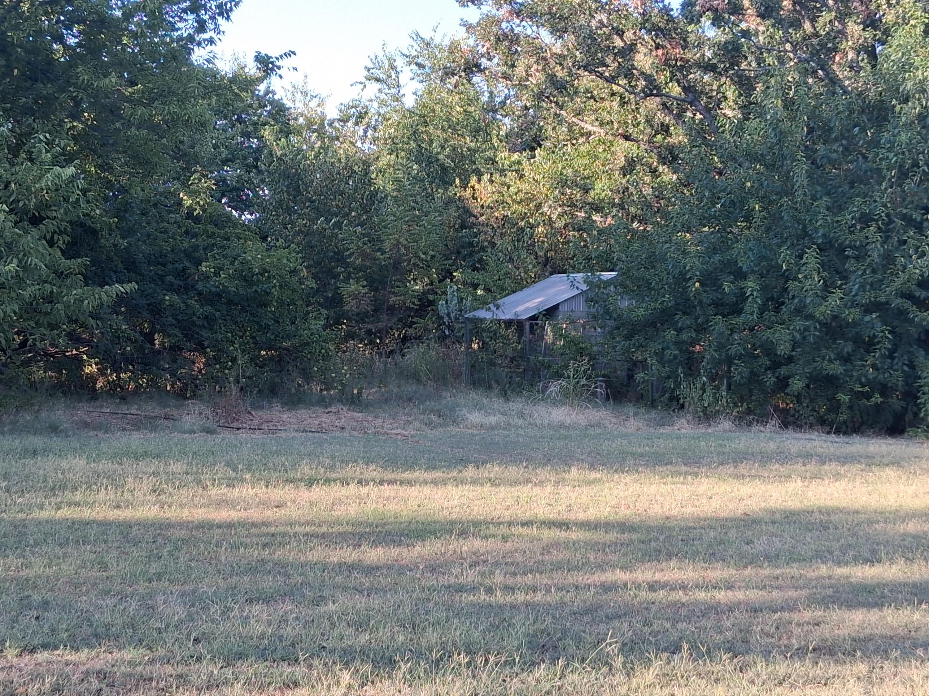 12229 Hammer Road Property Photo 26