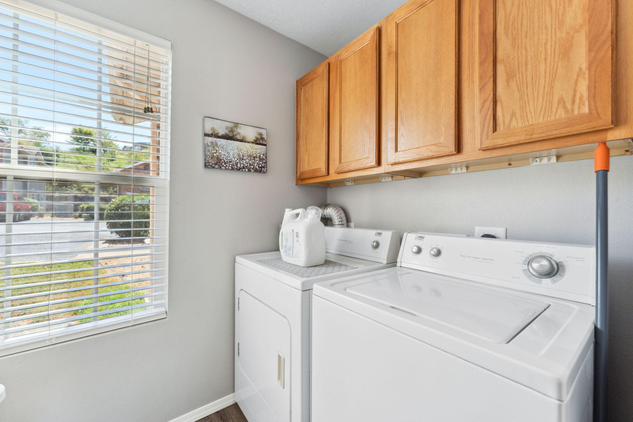 2954 Vineyards Parkway Property Photo 11