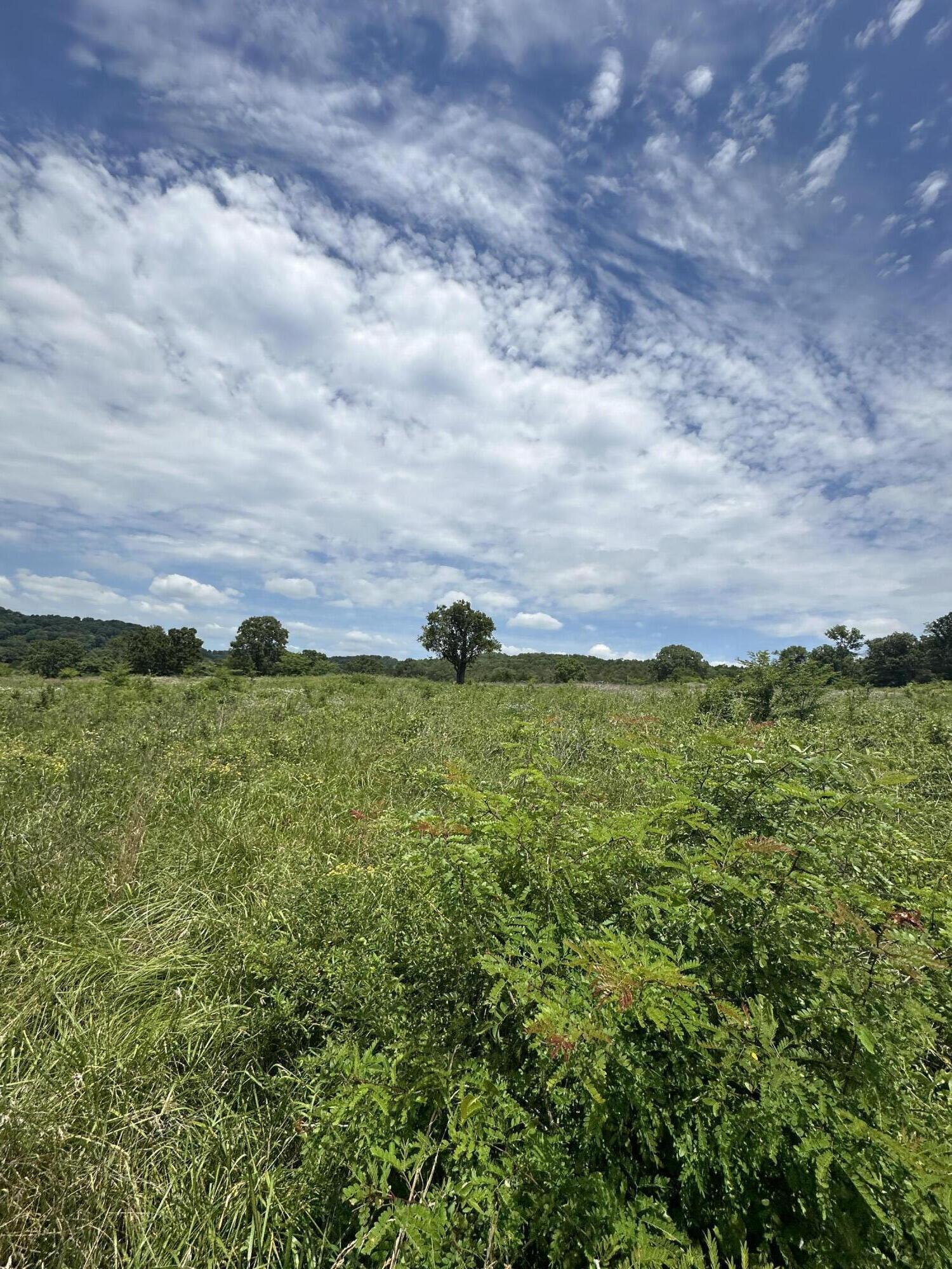 000 State Highway E Property Photo