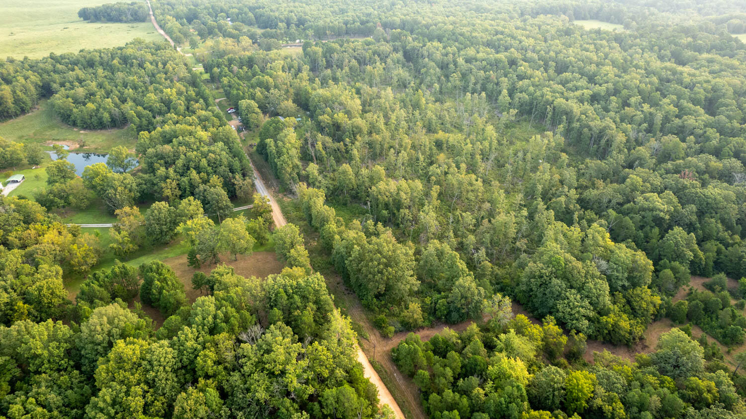 9440 Splitlimb Road Property Photo 29