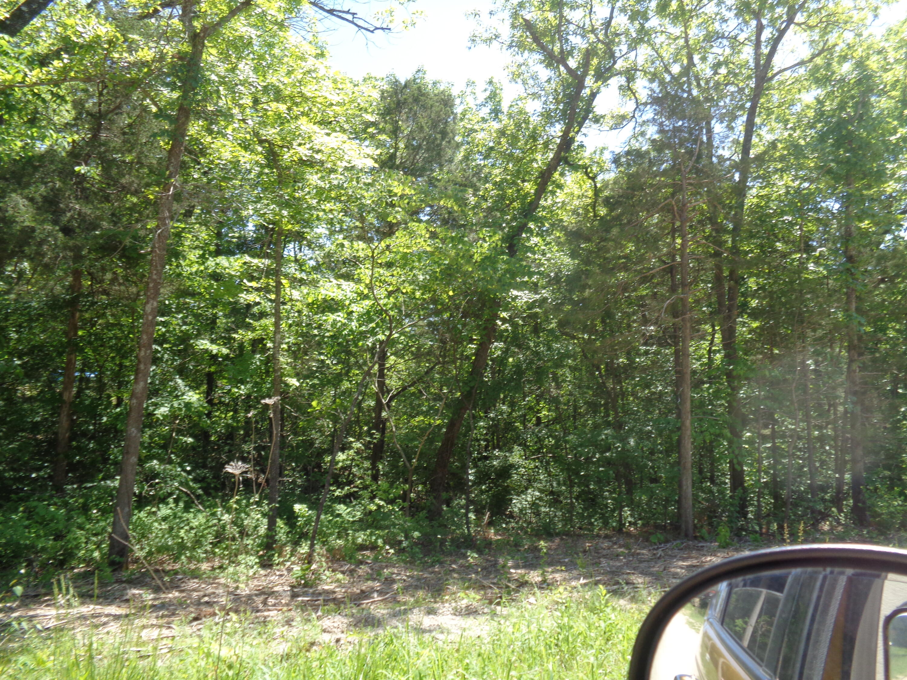 60277095 Property Photo