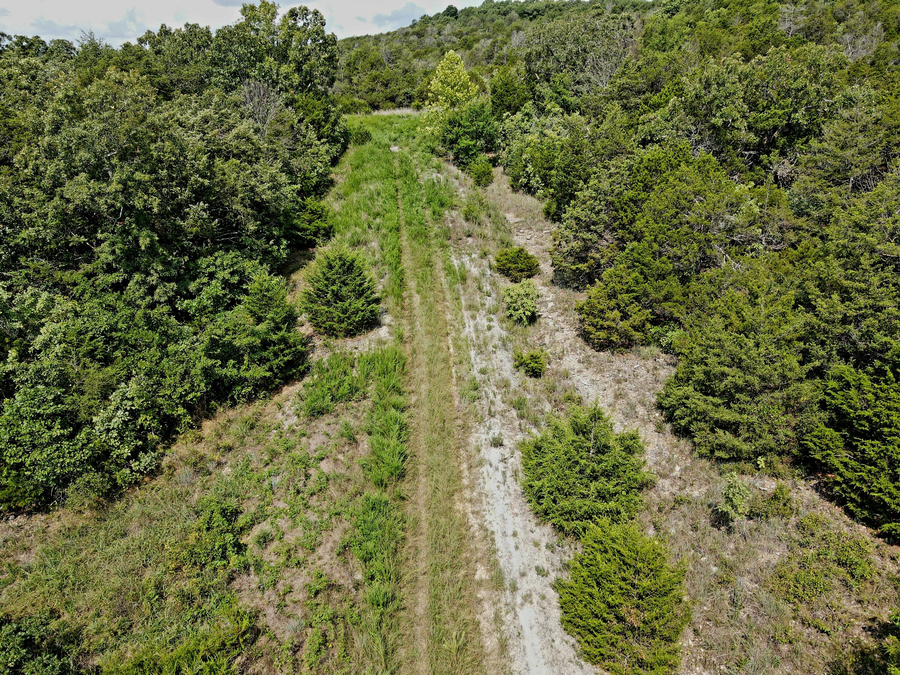 000 Box Car Lane Property Photo 9