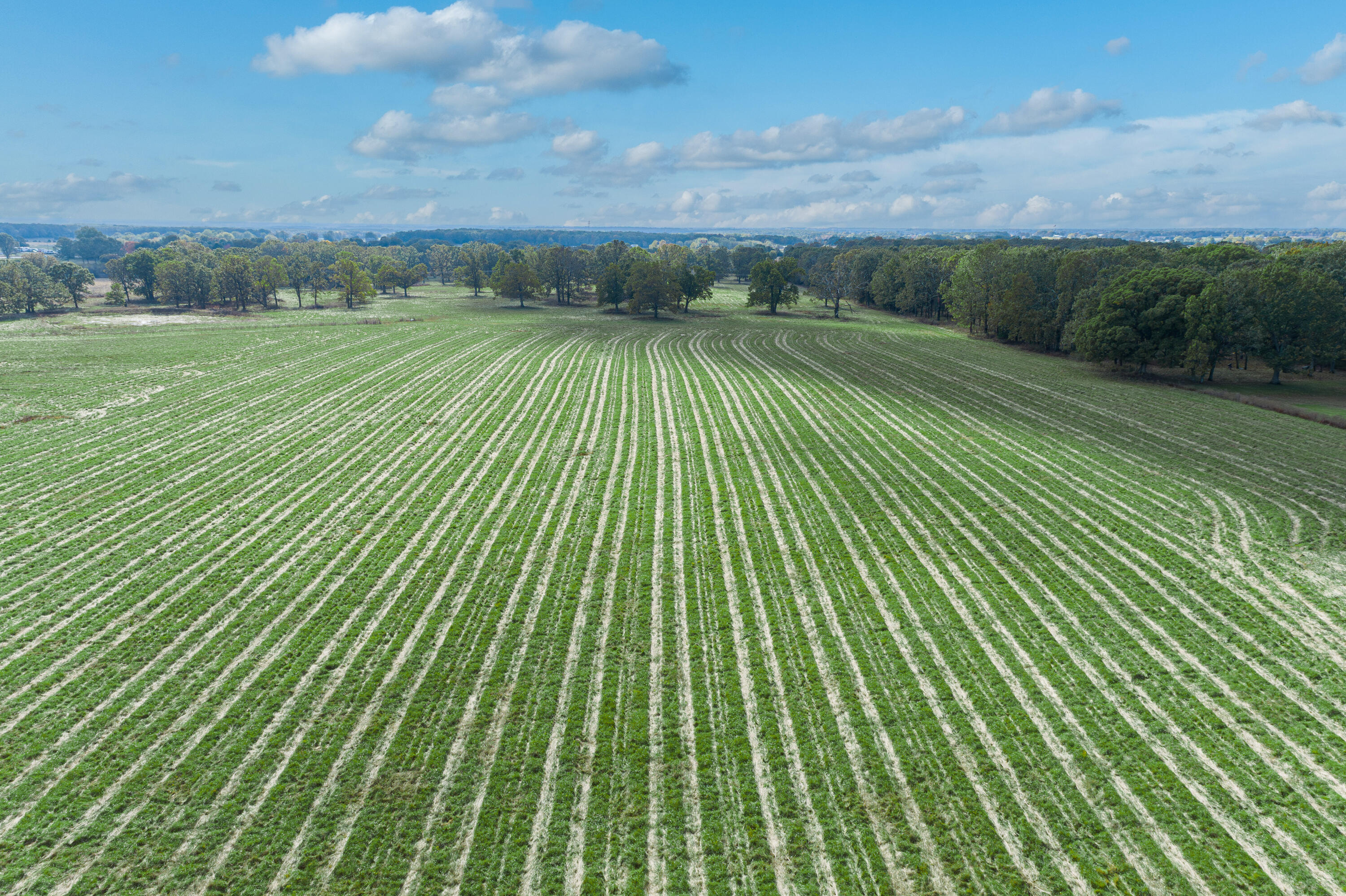 2288 Red Oak Road Property Photo 41