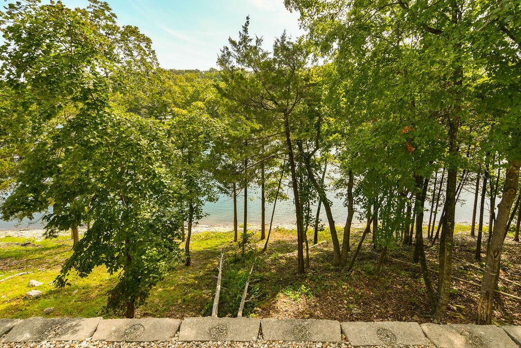 1007 Rocky Shore Terrace Property Photo 20