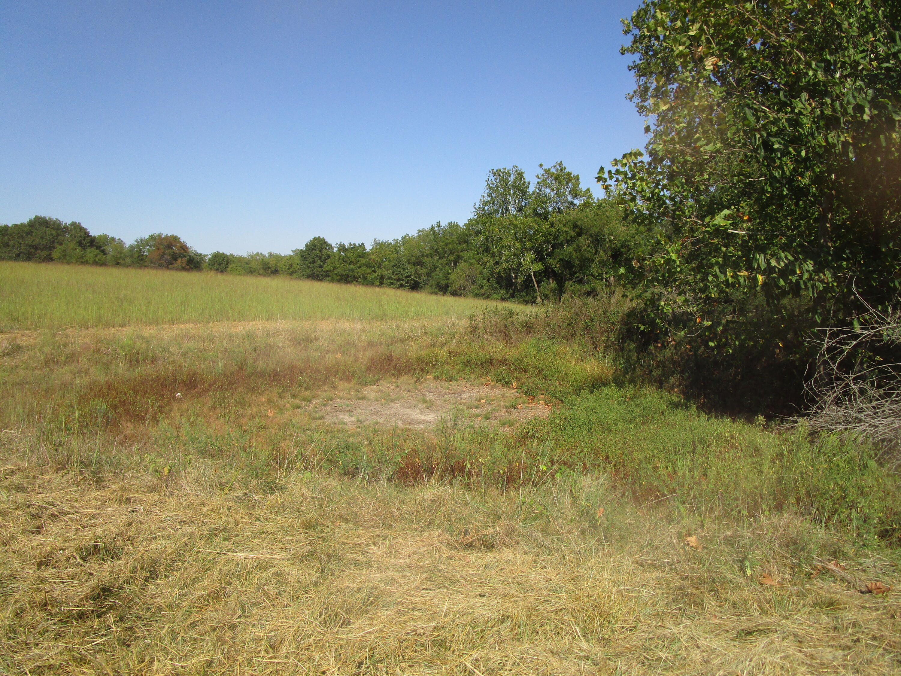 16427 Farm Road 2007 Property Photo 48