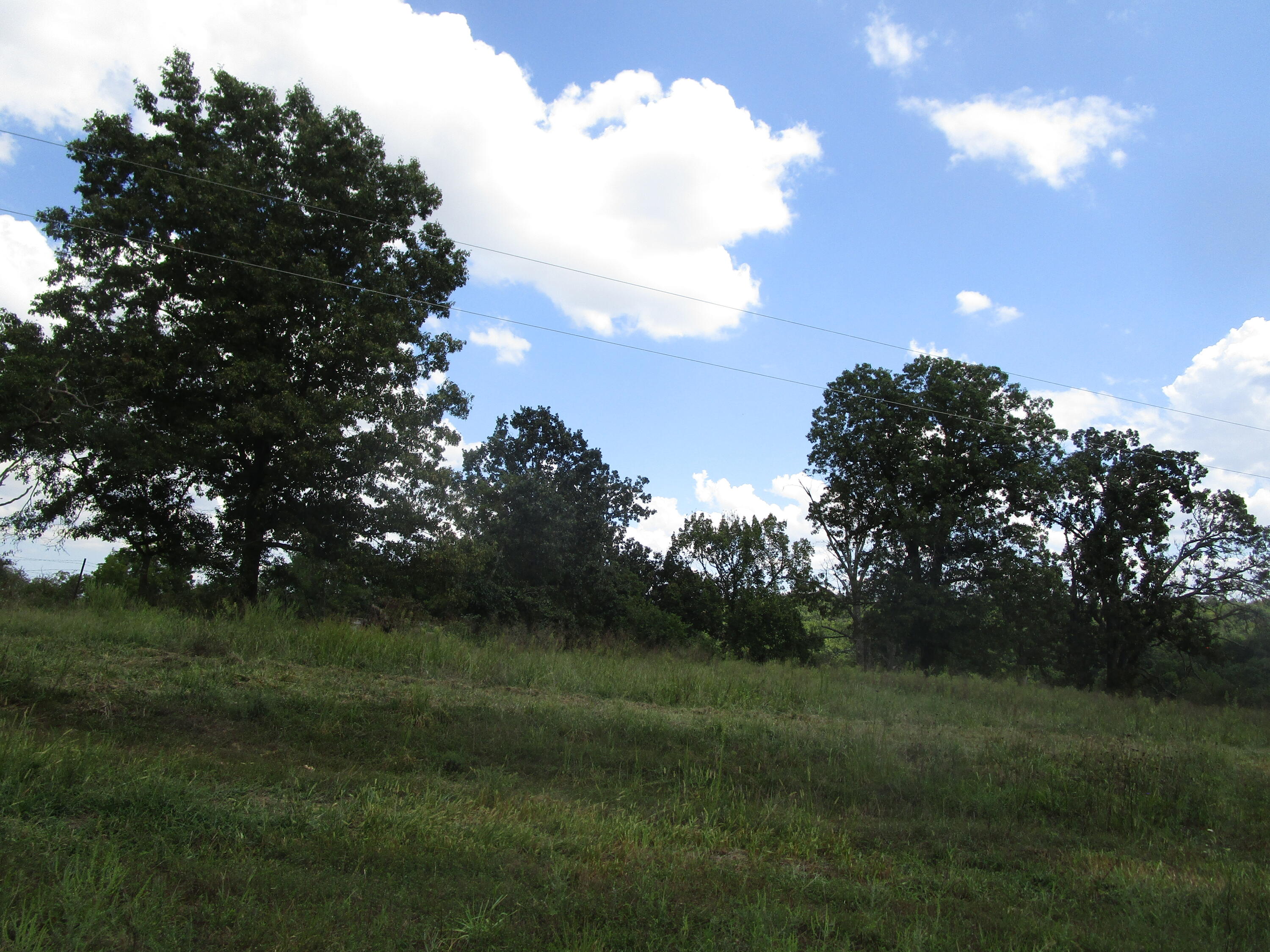 16427 Farm Road 2007 Property Photo 50