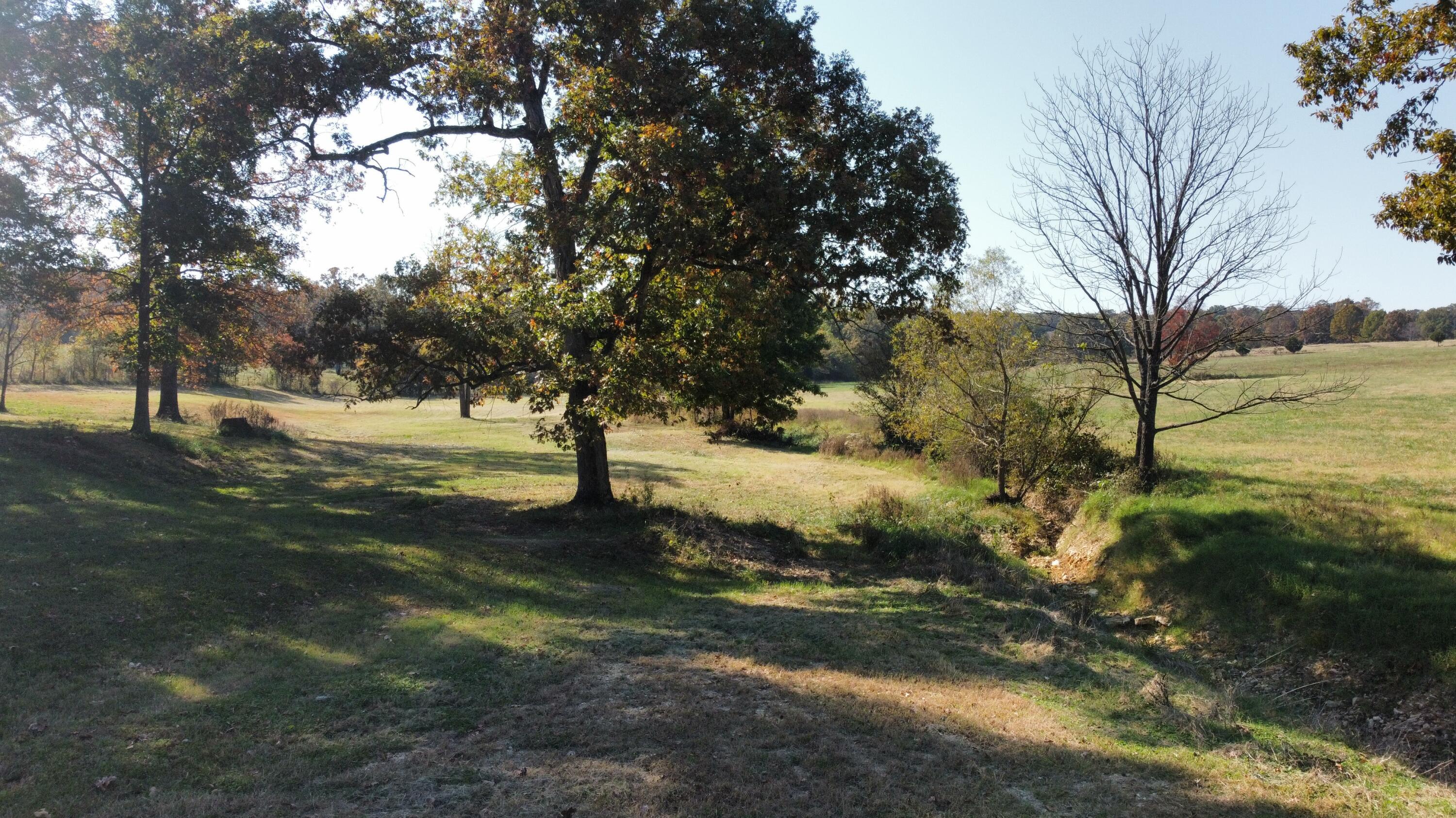 24319 Mo-142 Property Photo 80