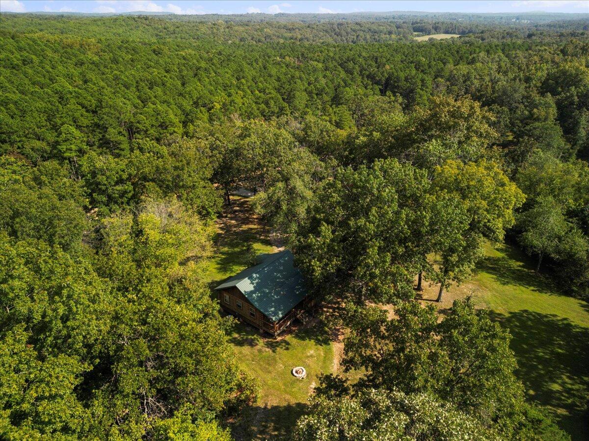 1300 County Road 113 Property Photo 32