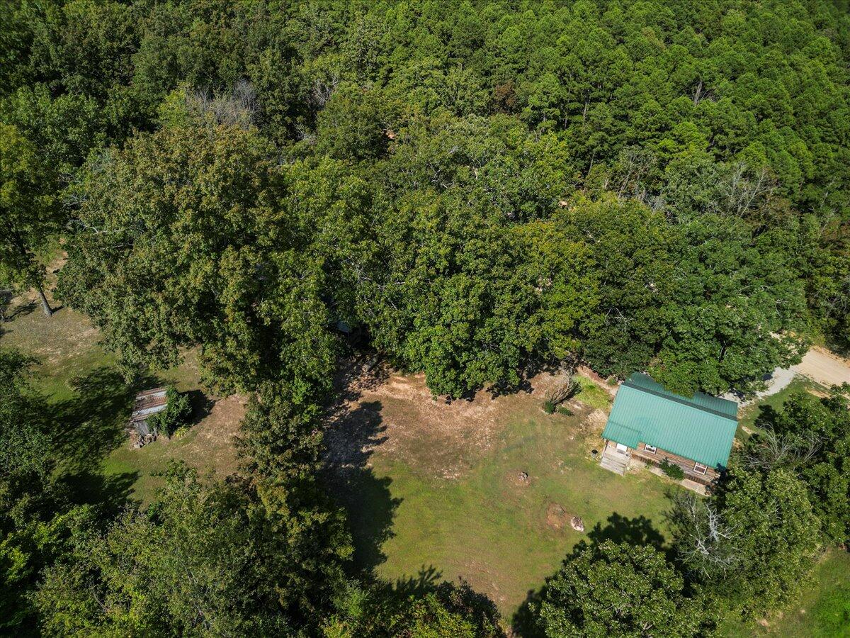 1300 County Road 113 Property Photo 33
