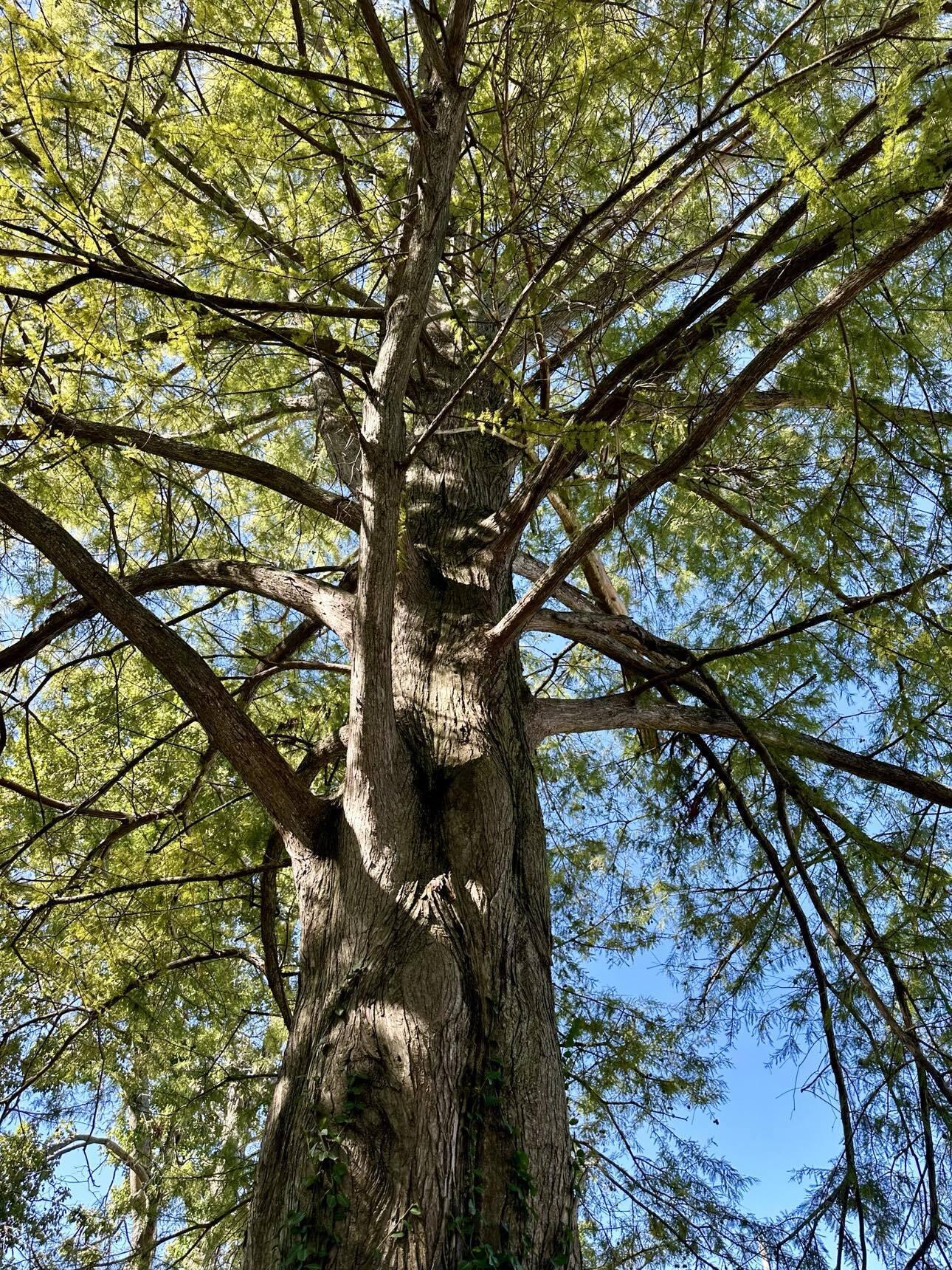 206 State Street Property Photo 3