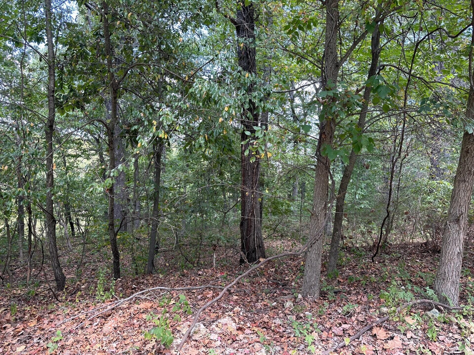 1.13 Ac Epperson Lane Property Photo