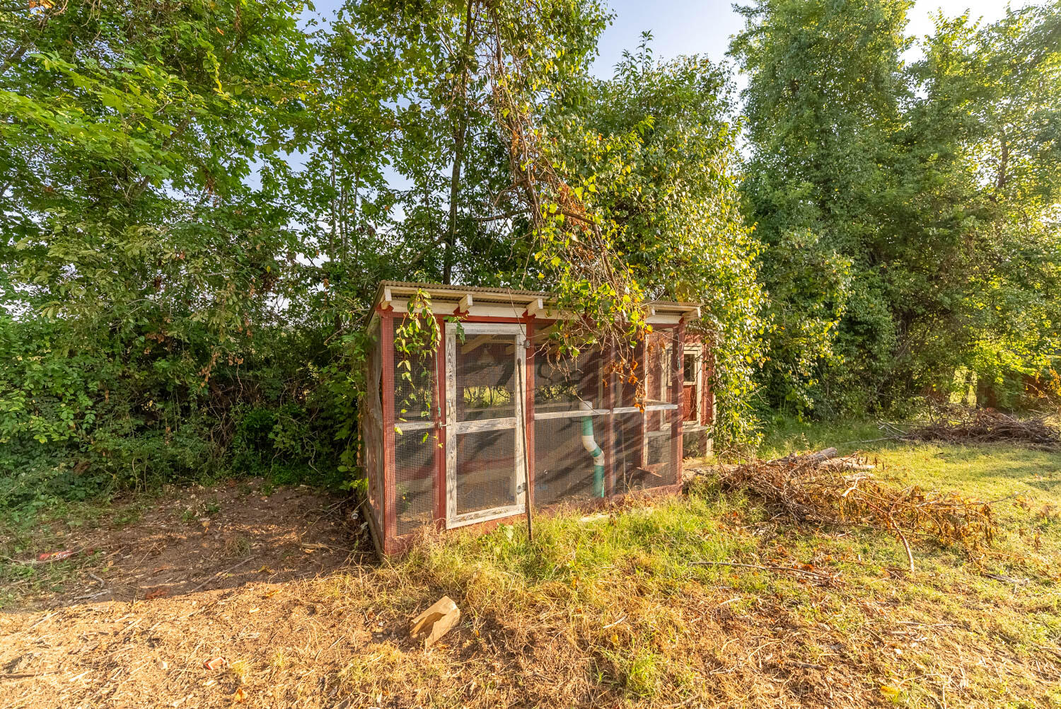 17136 North 9 Highway Property Photo 7