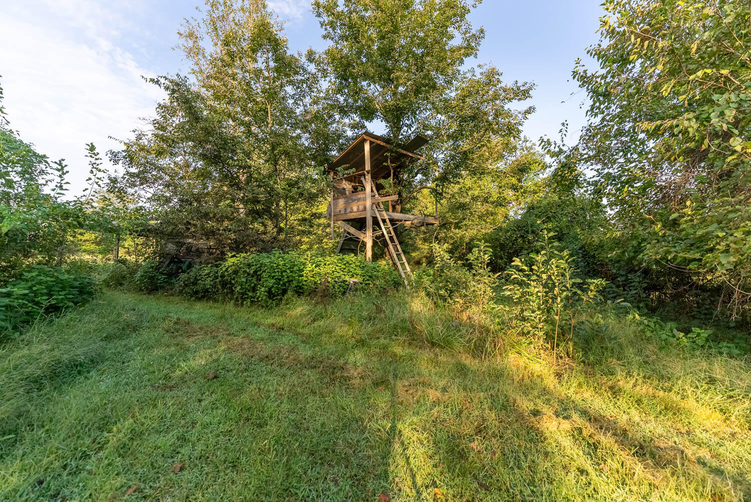 17136 North 9 Highway Property Photo 9