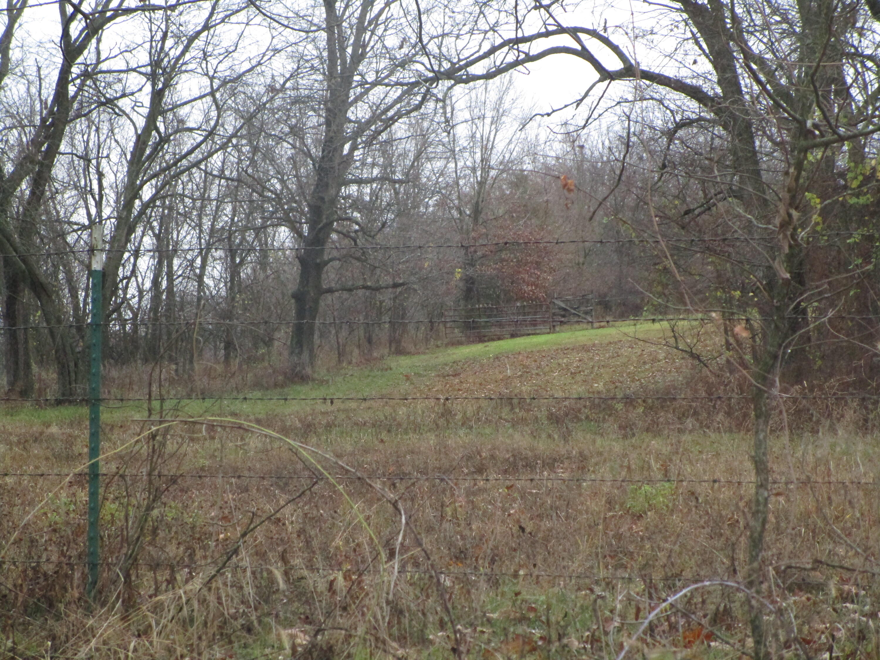 16427 Farm Road 2007 Property Photo 62