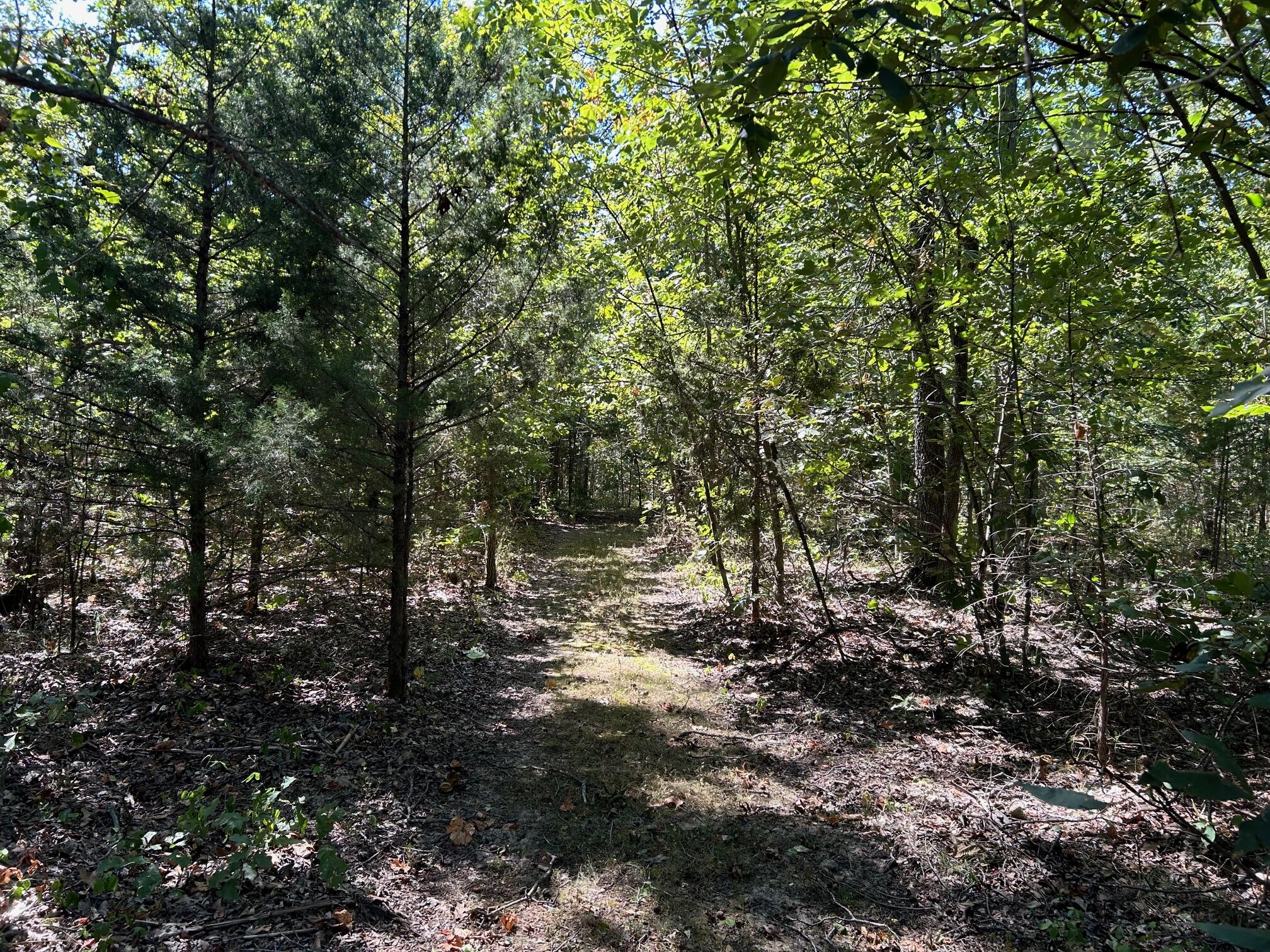 180 Northeast 300 Road Property Photo 23