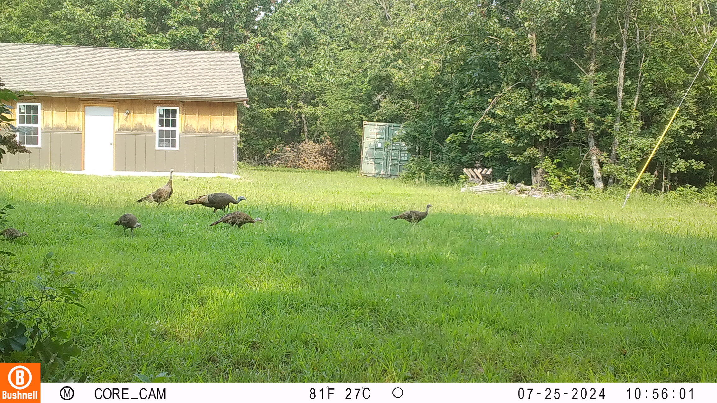 180 Northeast 300 Road Property Photo 27