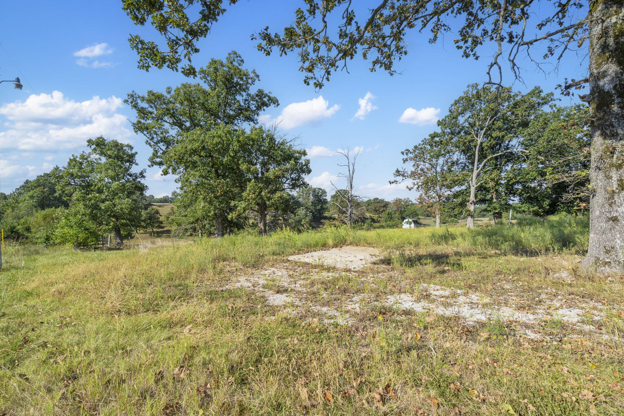 921 Us Hwy 160 Property Photo 5
