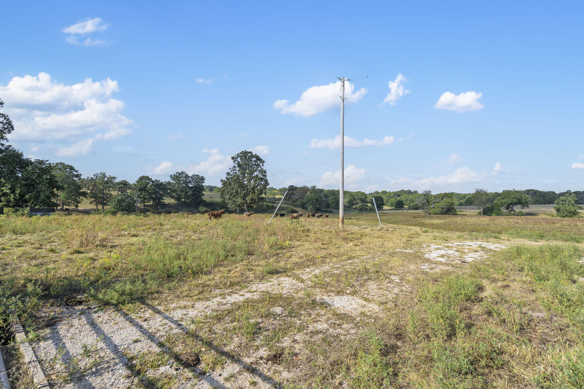 921 Us Hwy 160 Property Photo 6