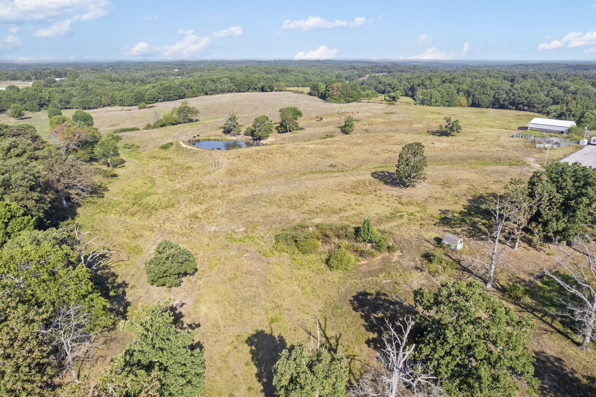 921 Us Hwy 160 Property Photo 17