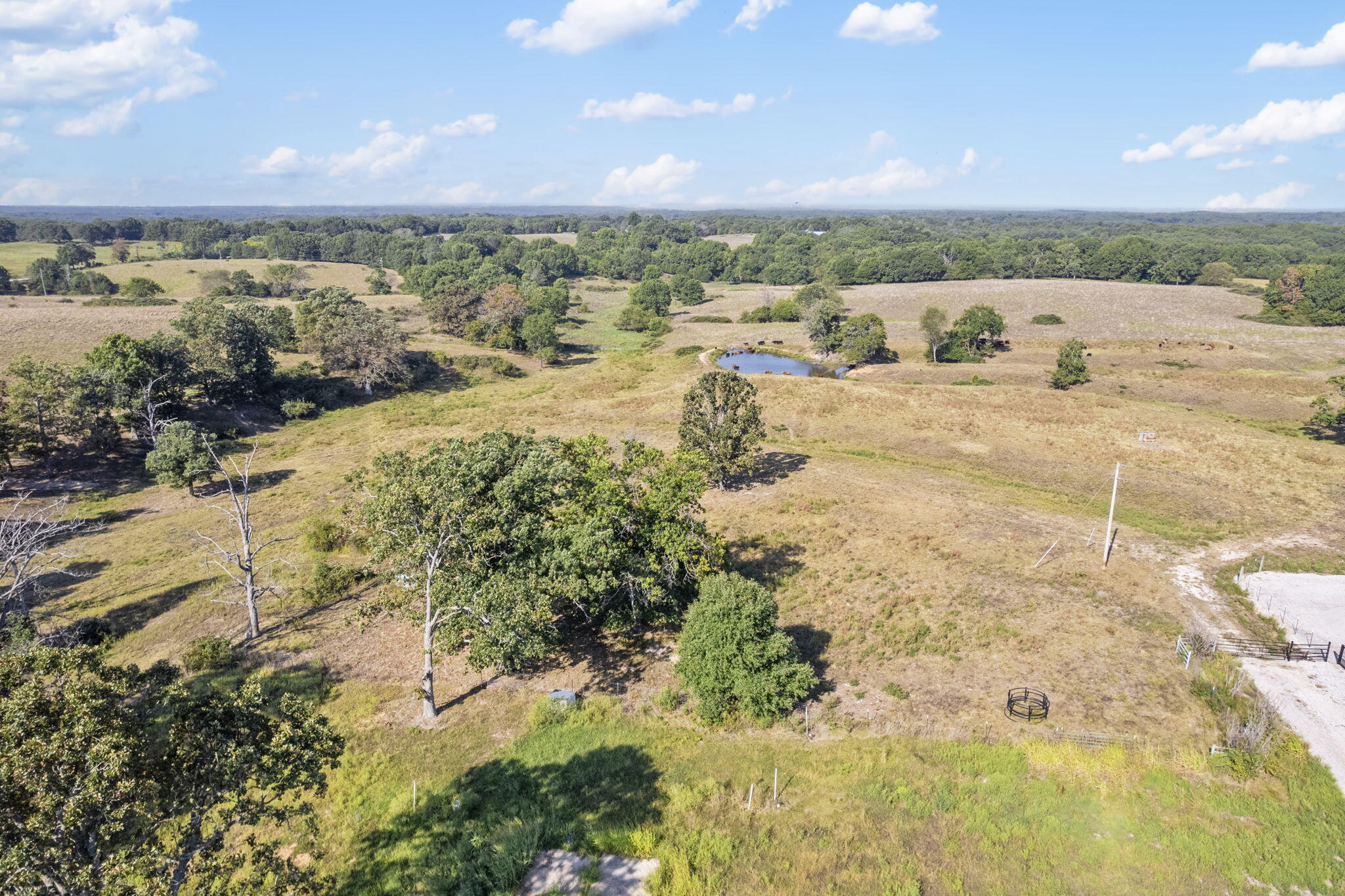 921 Us Hwy 160 Property Photo 18