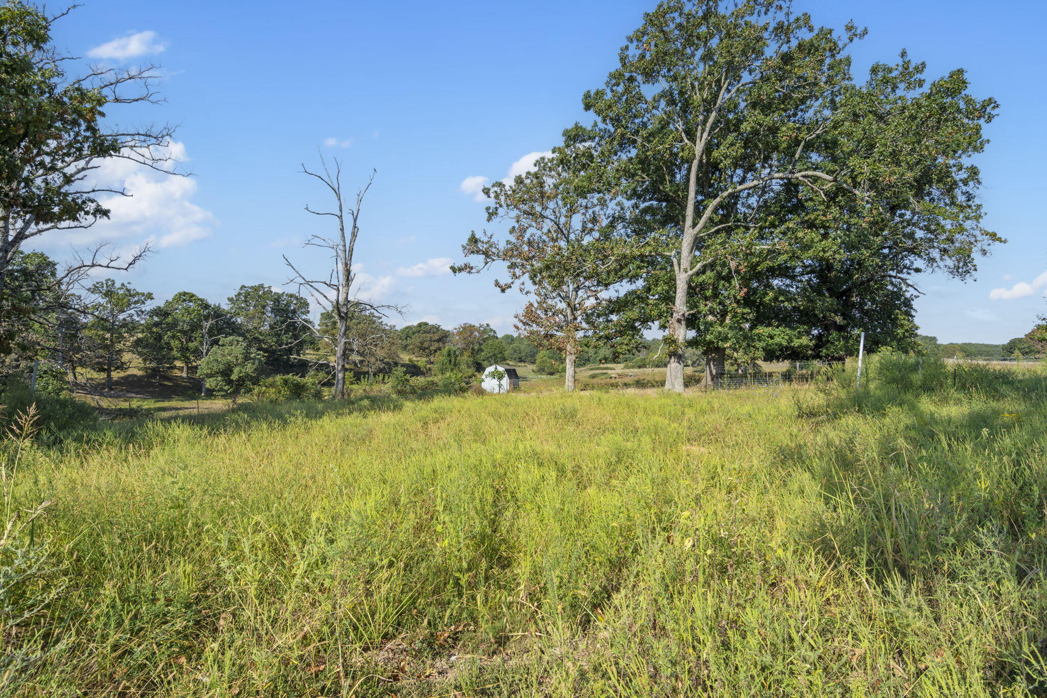 921 Us Hwy 160 Property Photo 21