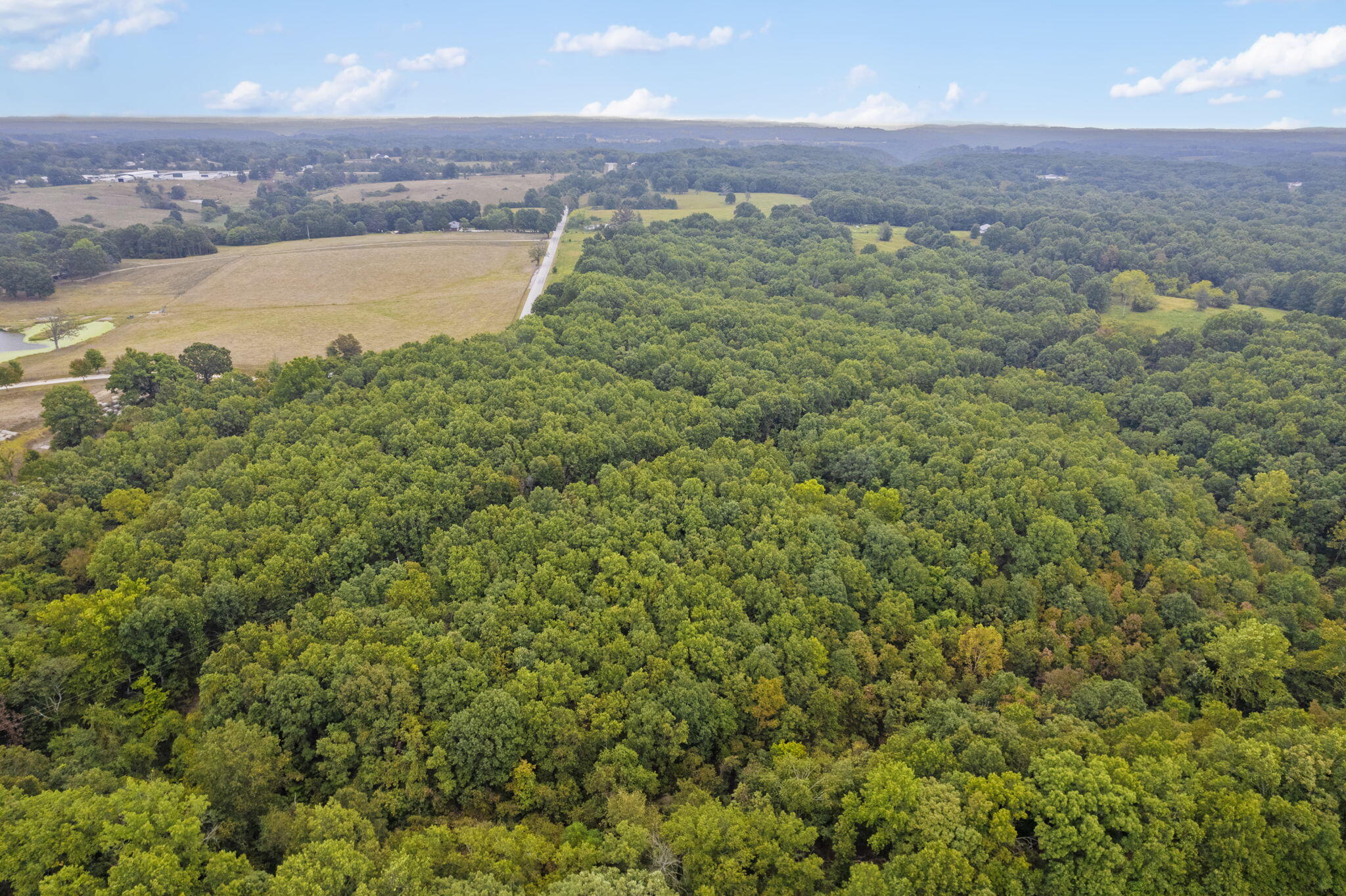 808 Coon Ridge Road Property Photo 3