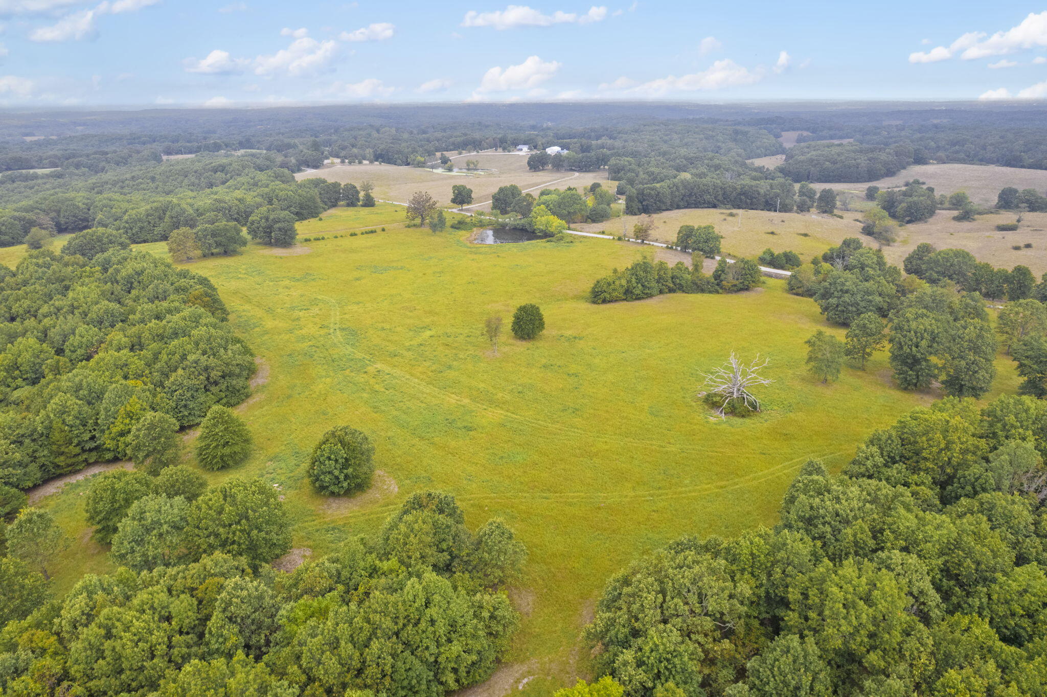 808 Coon Ridge Road Property Photo 8