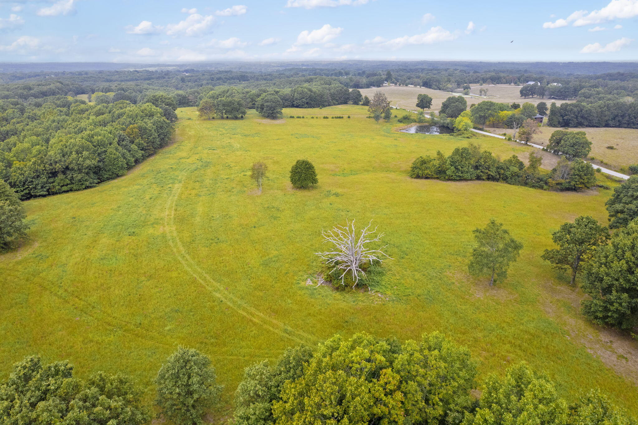 808 Coon Ridge Road Property Photo 9
