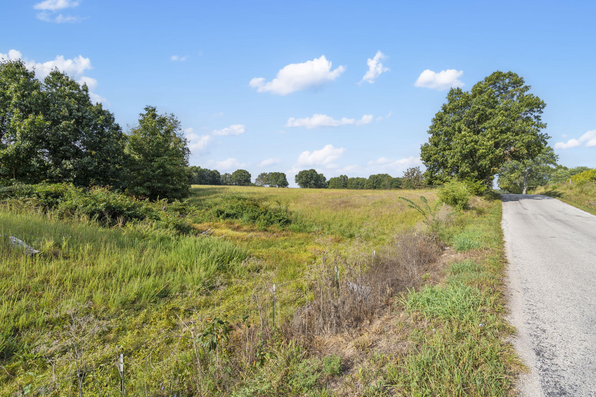808 Coon Ridge Road Property Photo 13