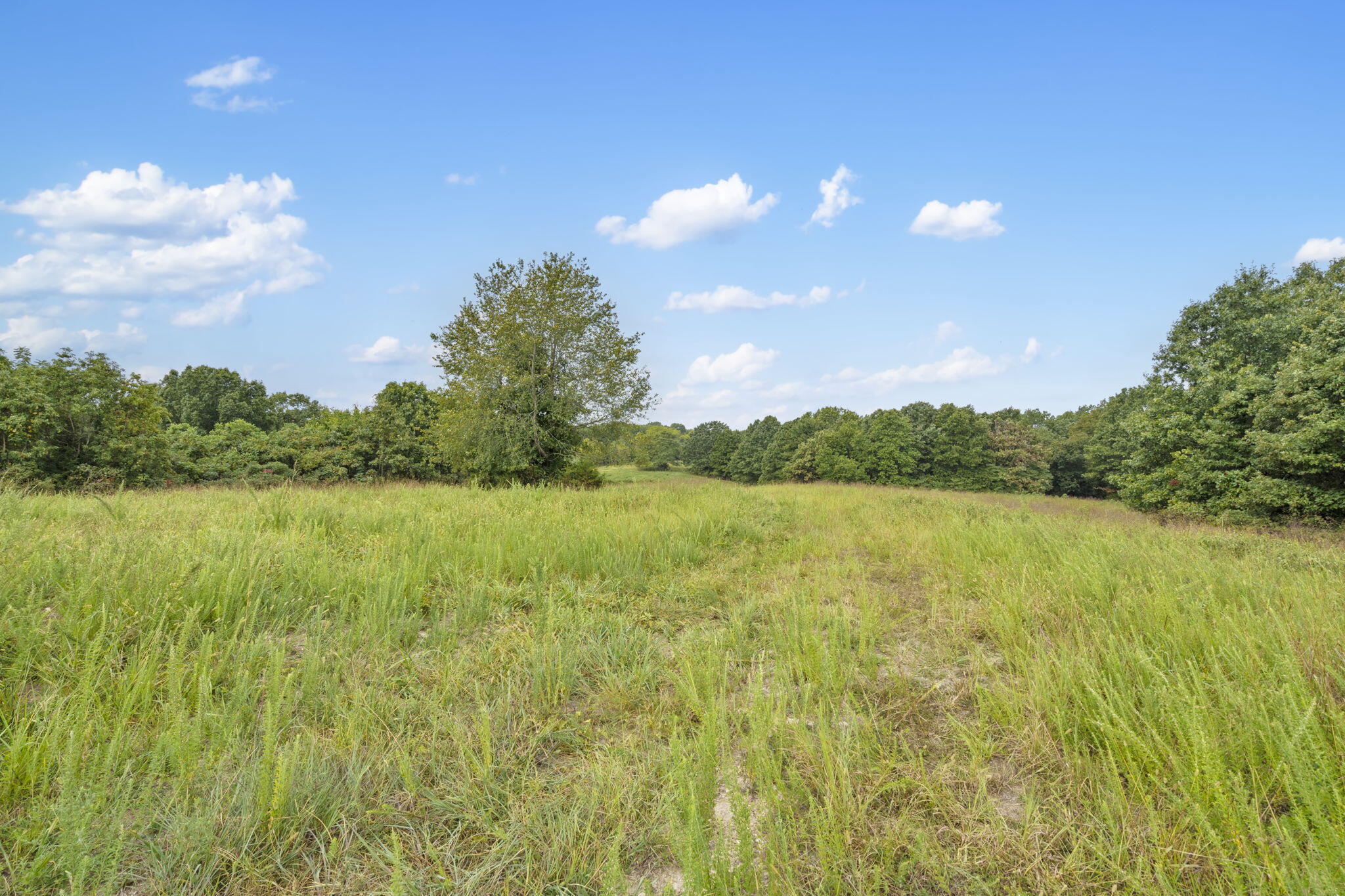 808 Coon Ridge Road Property Photo 14
