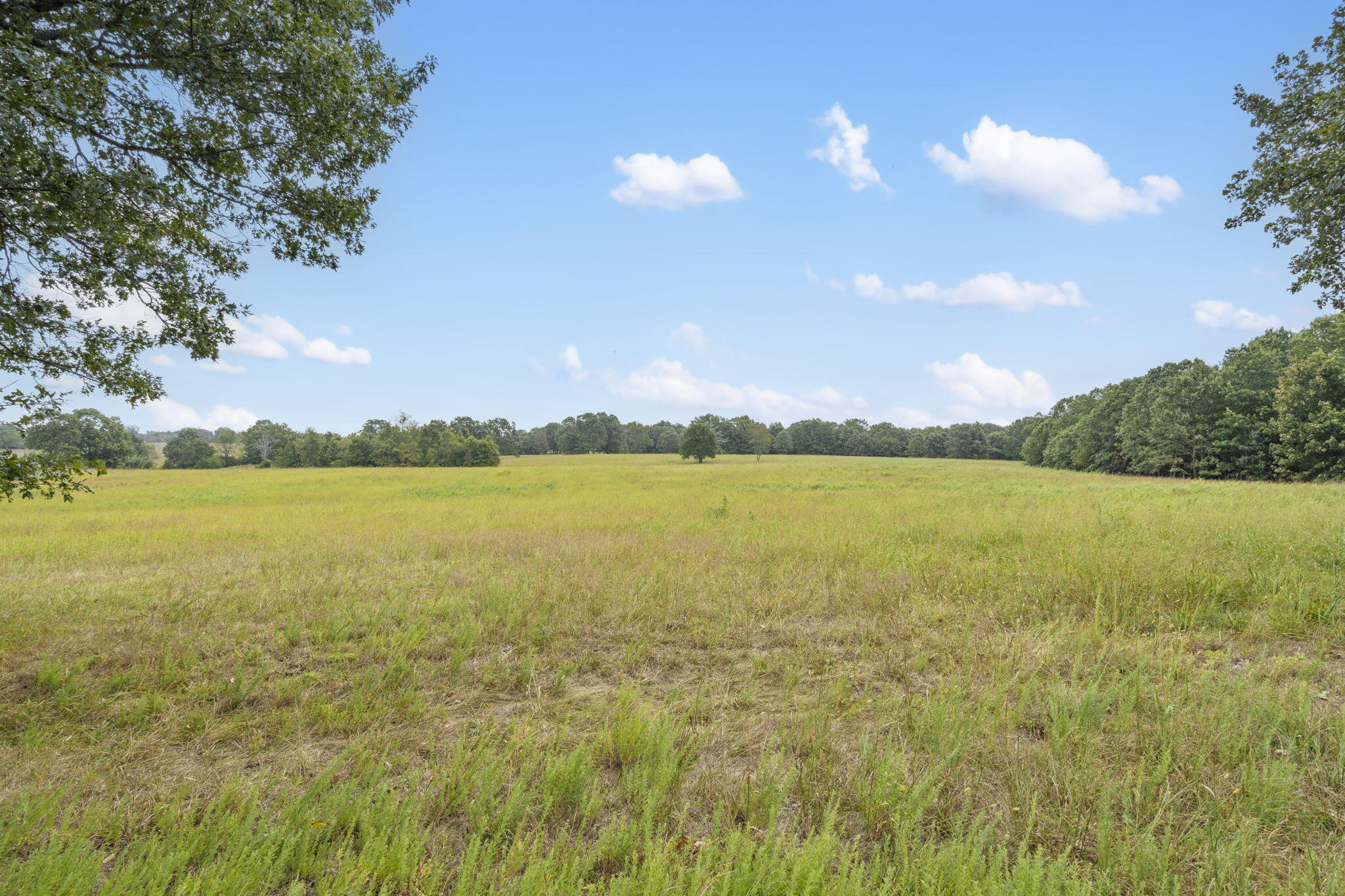 808 Coon Ridge Road Property Photo 15