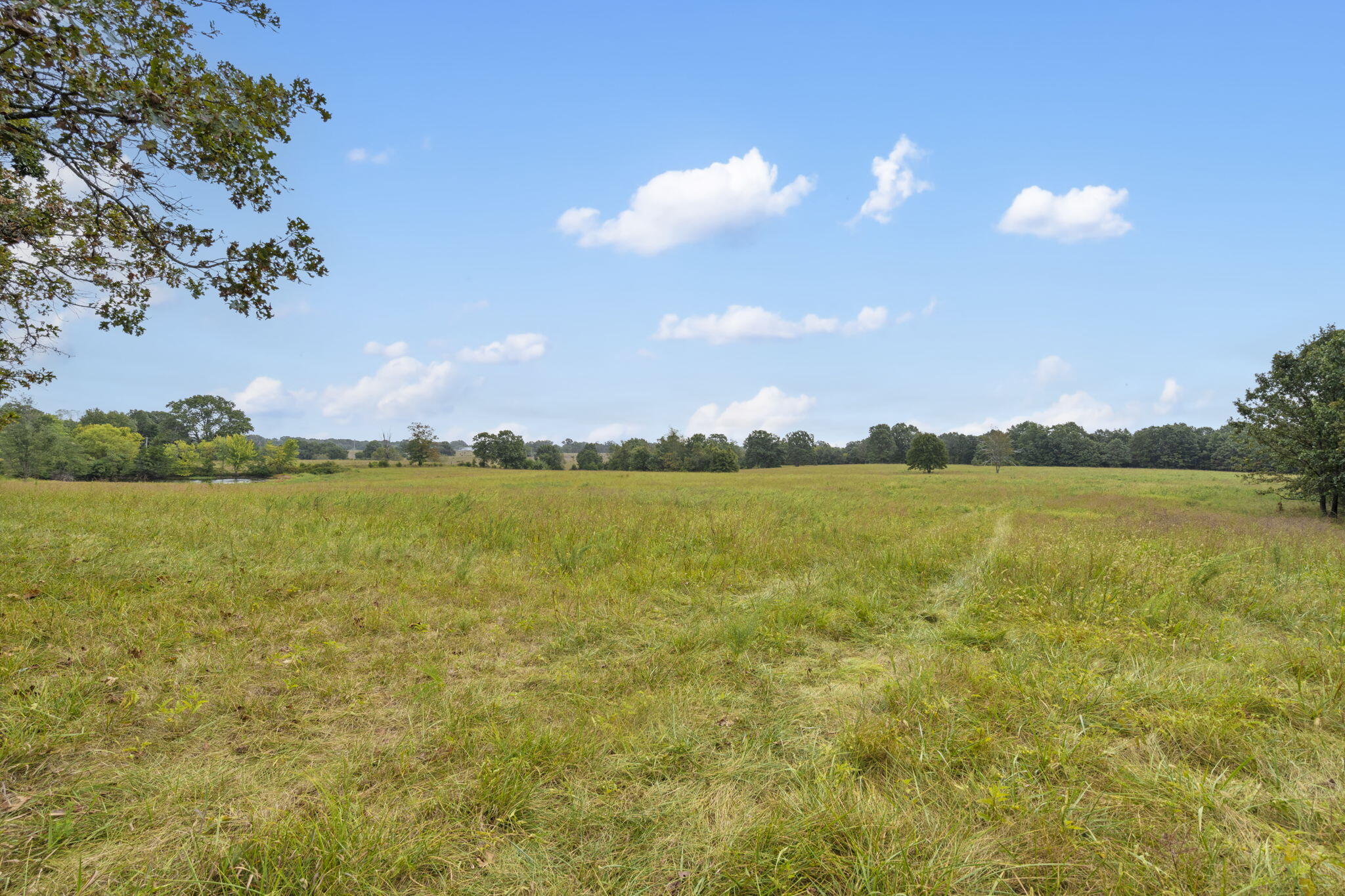 808 Coon Ridge Road Property Photo 16