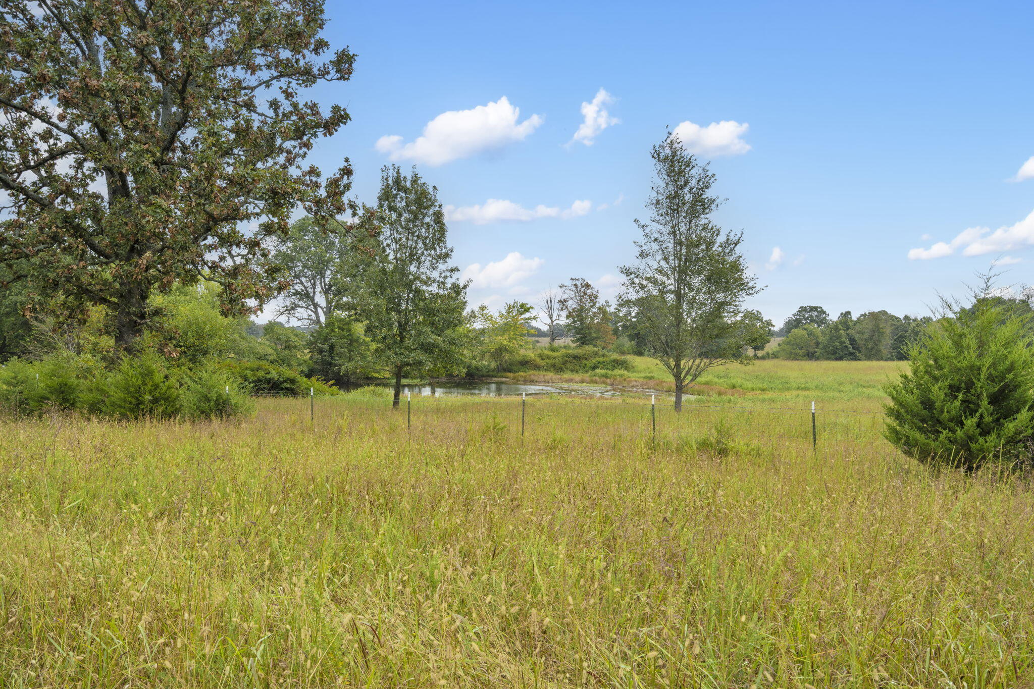 808 Coon Ridge Road Property Photo 17