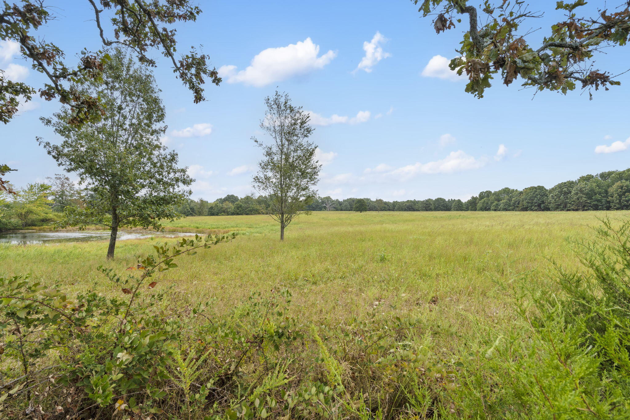 808 Coon Ridge Road Property Photo 18
