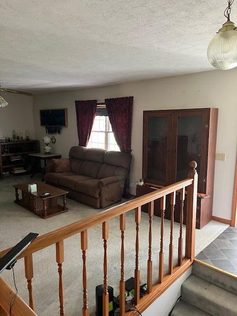 366 Good Springs Road Property Photo 14