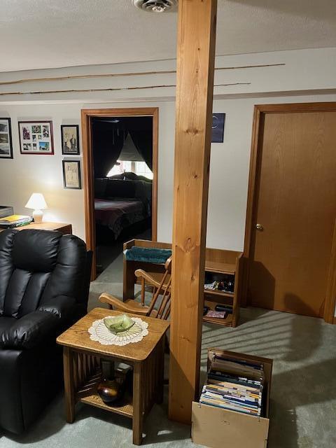 366 Good Springs Road Property Photo 38